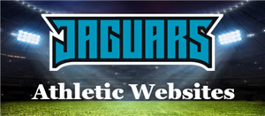 Athletic Websites